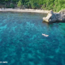 alliancefordemocracy.info