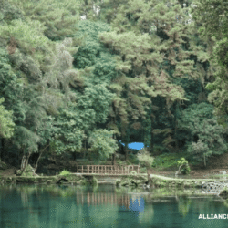 alliancefordemocracy.info