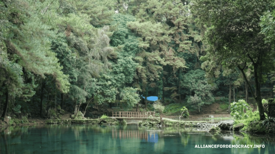 alliancefordemocracy.info