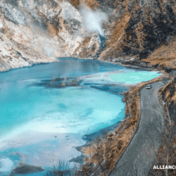 alliancefordemocracy.info