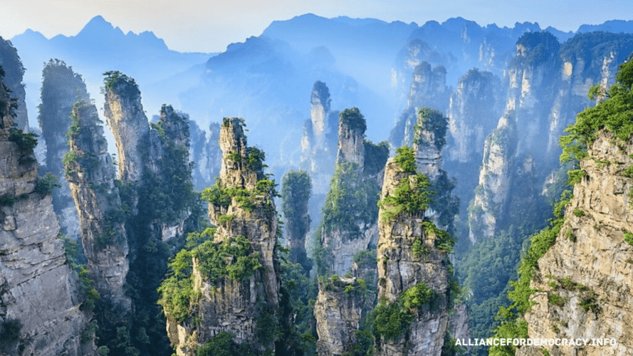 alliancefordemocracy.info