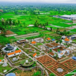 alliancefordemocracy.info