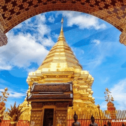 alliancefordemocracy.info