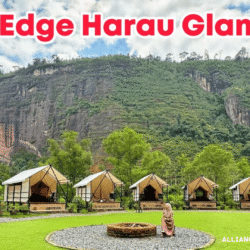 alliancefordemocracy.info