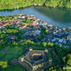 alliancefordemocracy.info