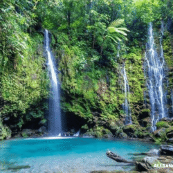 alliancefordemocracy.info