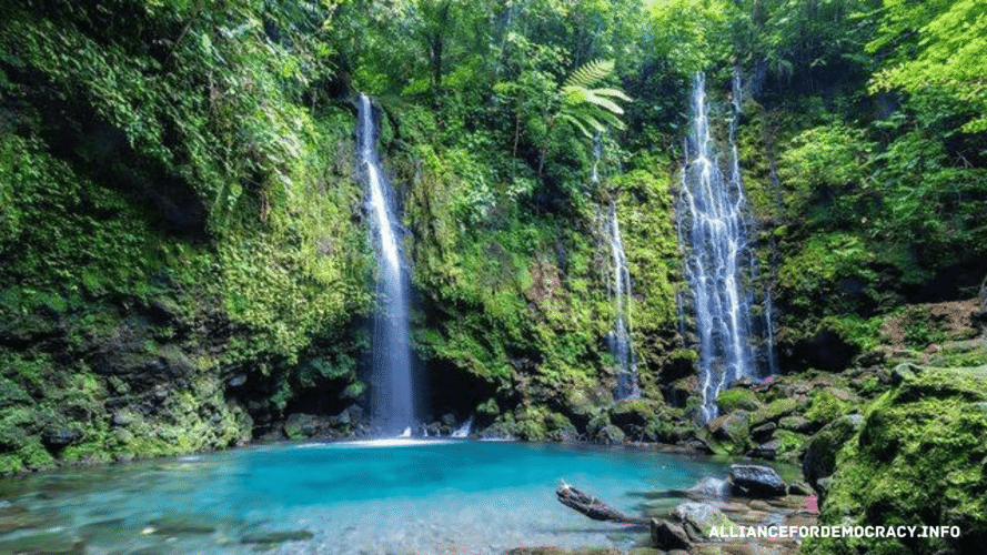 alliancefordemocracy.info