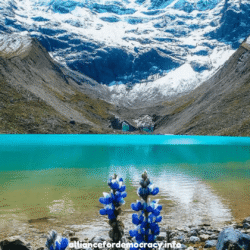 alliancefordemocracy.info