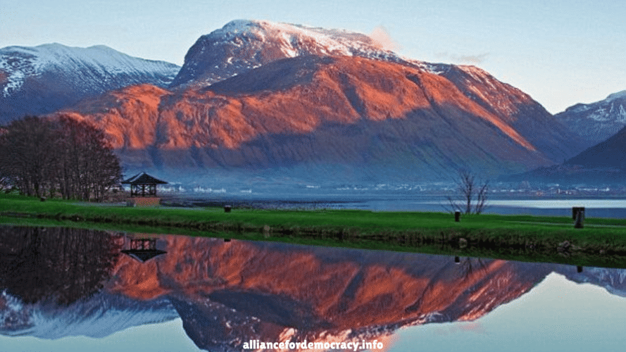 alliancefordemocracy.info