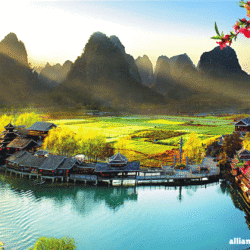 alliancefordemocracy.info