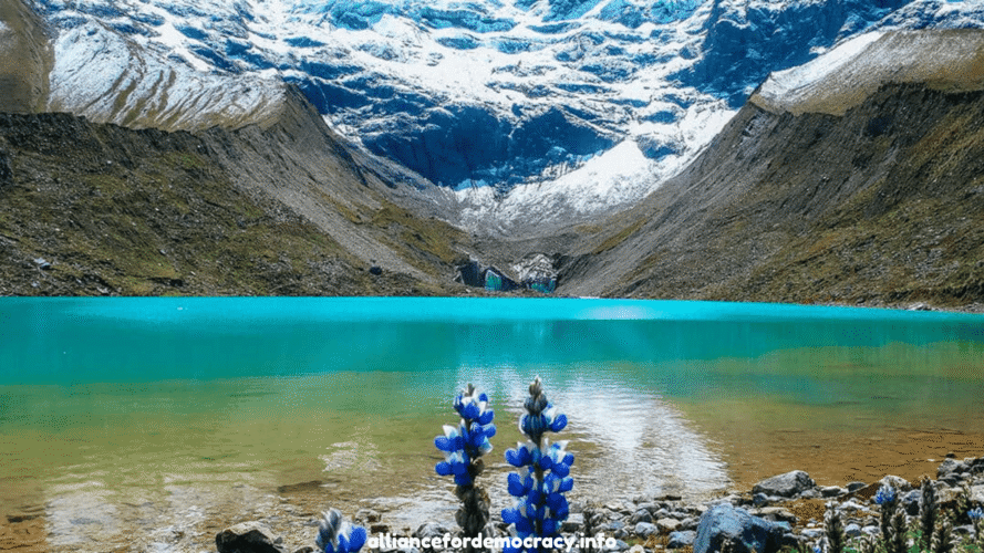 alliancefordemocracy.info