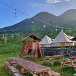 alliancefordemocracy.info