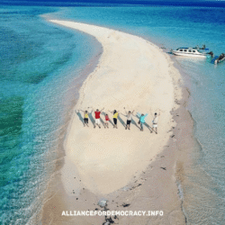 alliancefordemocracy.info