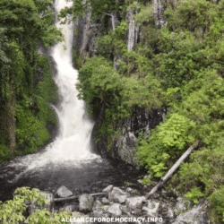 alliancefordemocracy.info