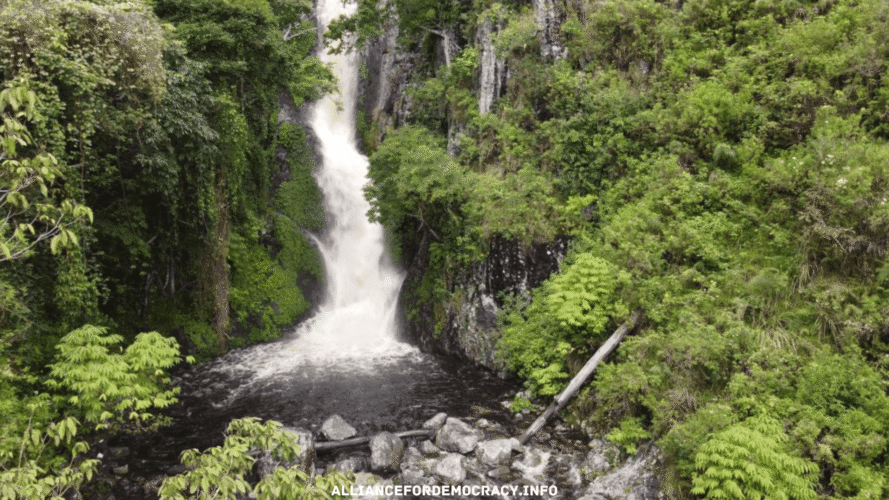 alliancefordemocracy.info