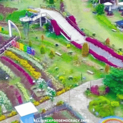 alliancefordemocracy.info