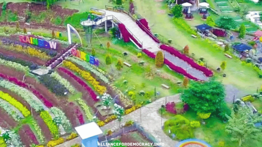 alliancefordemocracy.info