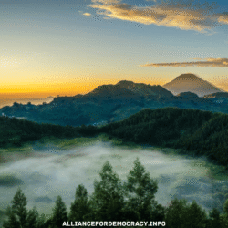 alliancefordemocracy.info