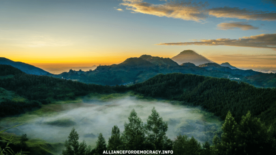 alliancefordemocracy.info