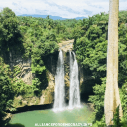 alliancefordemocracy.info