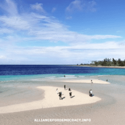 alliancefordemocracy.info