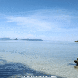 alliancefordemocracy.info