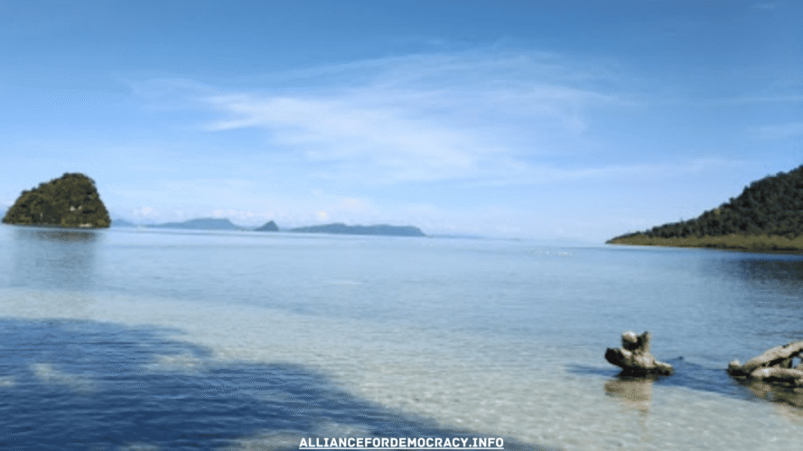 alliancefordemocracy.info