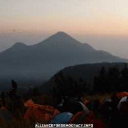 alliancefordemocracy.info