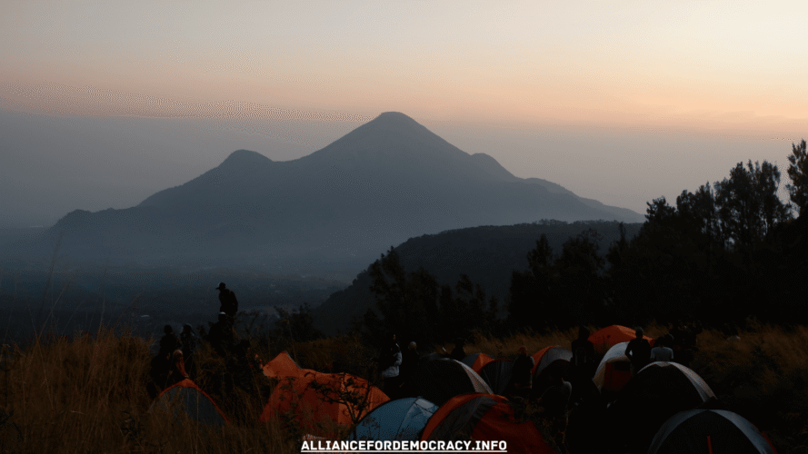 alliancefordemocracy.info