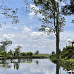 alliancefordemocracy.info