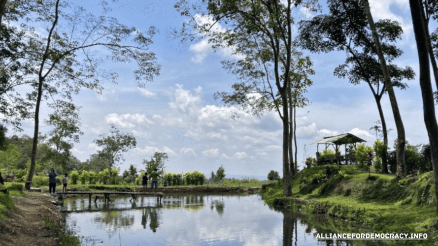 alliancefordemocracy.info