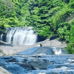 alliancefordemocracy.info