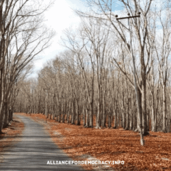 alliancefordemocracy.info