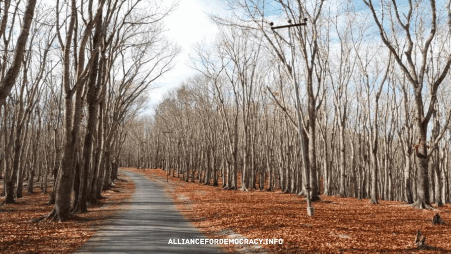 alliancefordemocracy.info