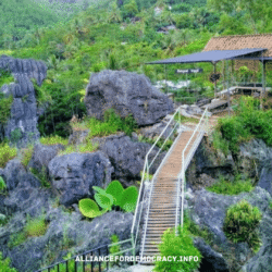 alliancefordemocracy.info