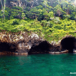 alliancefordemocracy.info