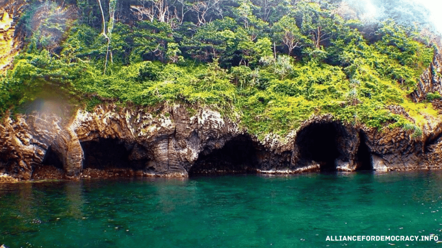 alliancefordemocracy.info