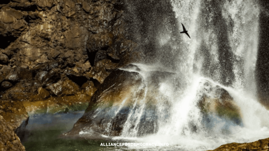 alliancefordemocracy.info