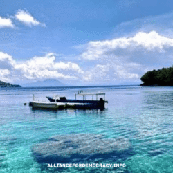 alliancefordemocracy.info