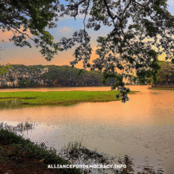 alliancefordemocracy.info