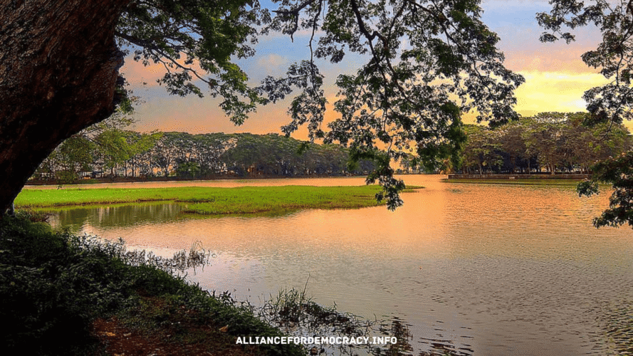 alliancefordemocracy.info